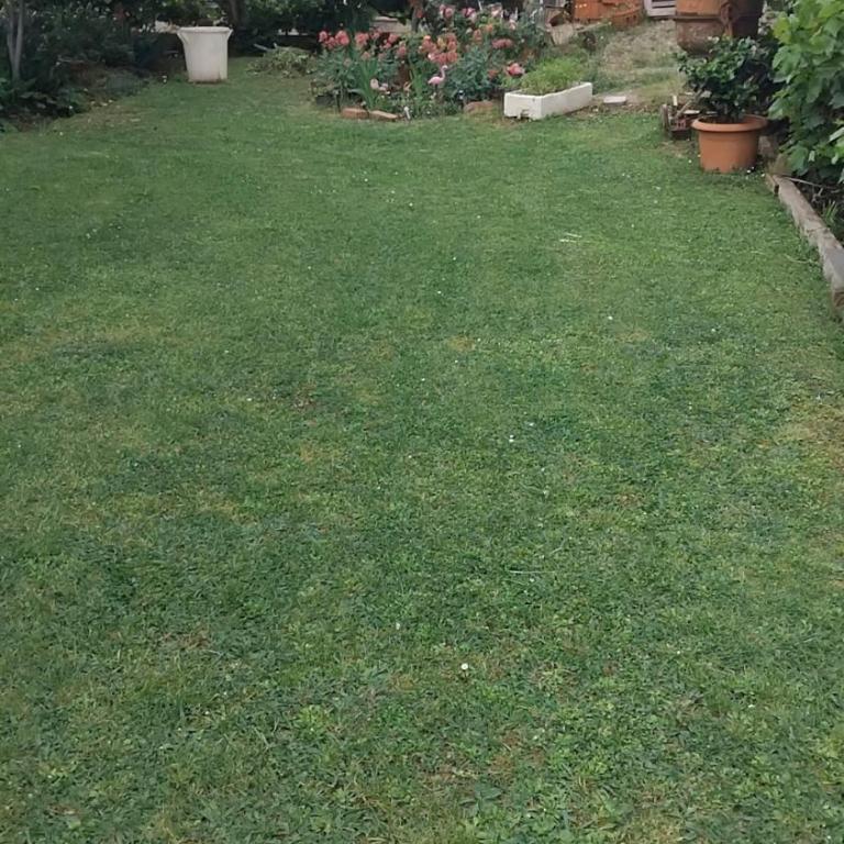 Nada Rooms - Apartman sa 1 Spavaćom Sobom - 7