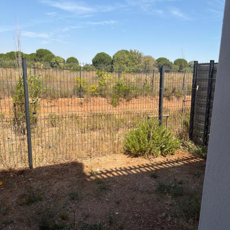 Appartement marseillan - Appartement 1 Chambre - 4