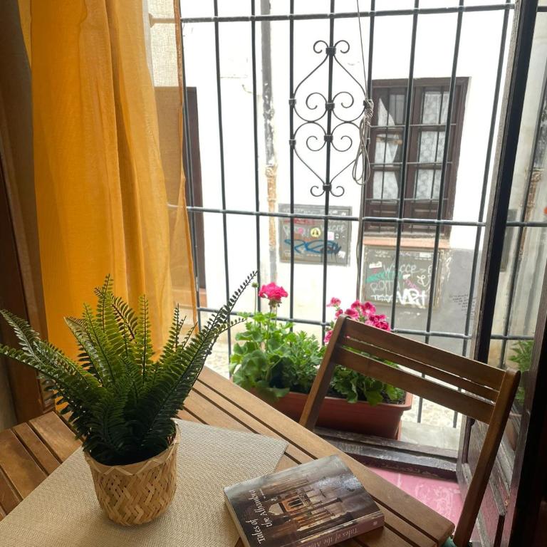 Mirador Ojo de Granada pleno Albaicín y en el Centro - Apartment mit 1 Schlafzimmer - 2