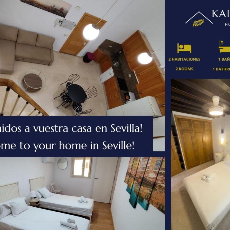 Apartamento Hercules - Kainga Homes - Apartamento de 2 dormitorios - 1
