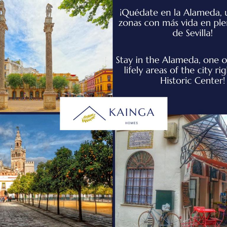 Apartamento Hercules - Kainga Homes - Apartamento de 2 dormitorios - 6