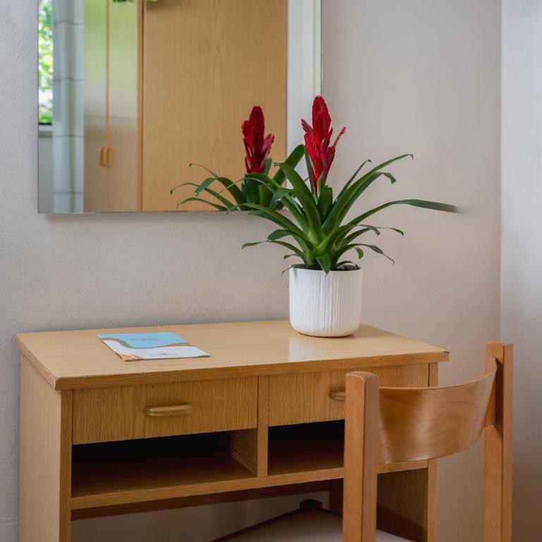 Hotel Falco - Single Room - 1