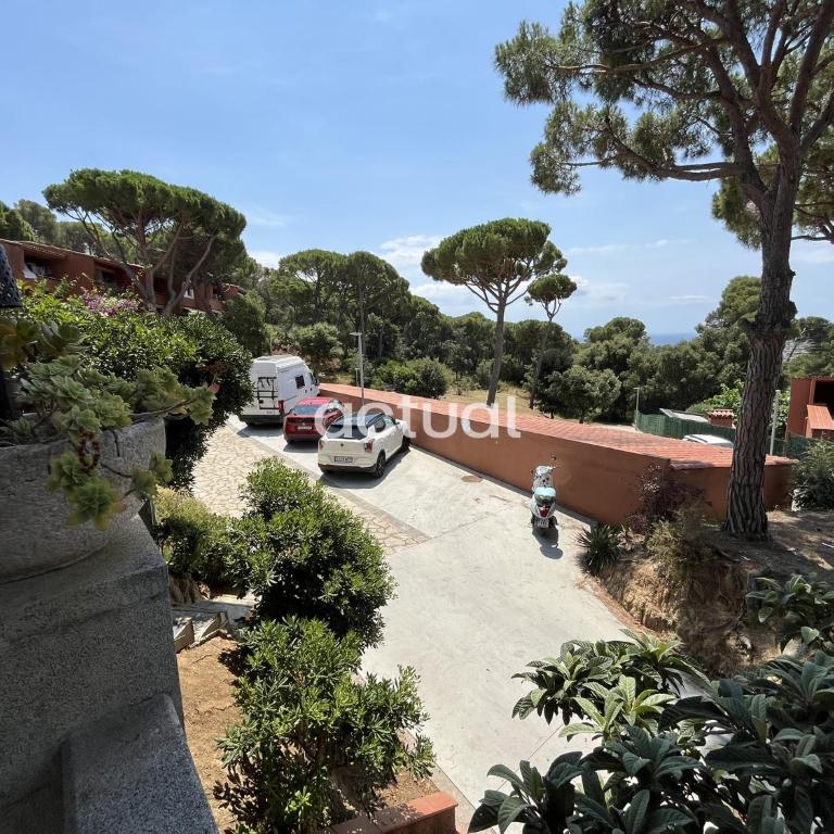 Casa Los Pinos 62 - Two-Bedroom Apartment - 13