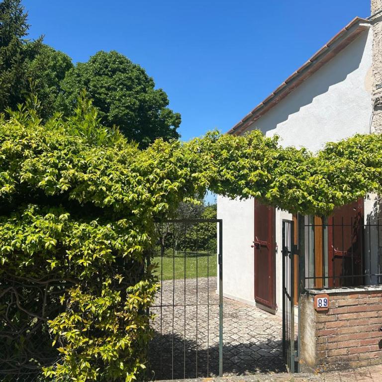 La casina di Malafrasca - Appartamento con 1 Camera da Letto - 27