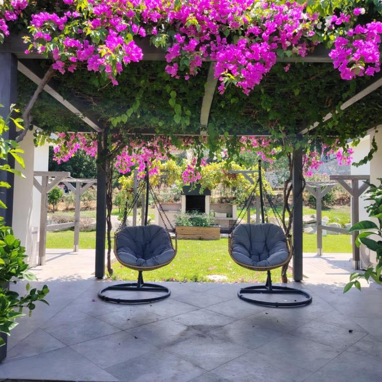 Alle Preziose Dimore - Villa con 2 Camere da Letto - 57