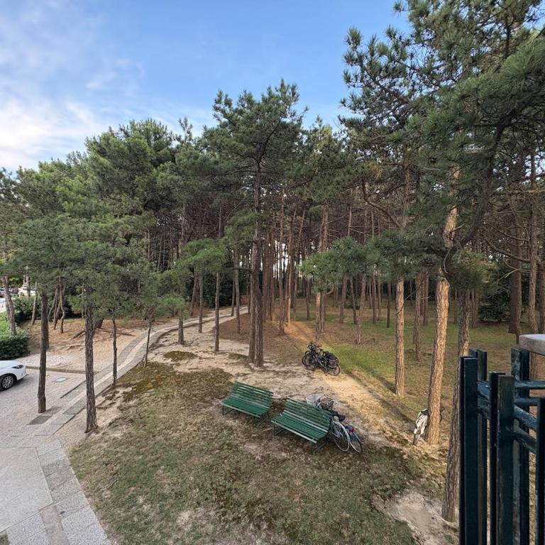 Excelsior, 8 posti a pochi passi dalla spiaggia - Three-Bedroom Apartment - 27