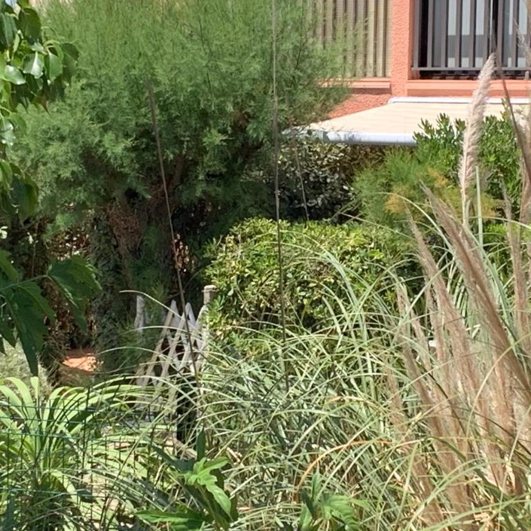 L'AMOURETTE - Front de mer et piscine - Parking prive - WIFI - One-Bedroom Apartment - 12