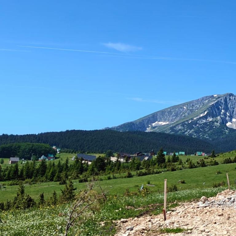 Villa Ruže - Vila - 18