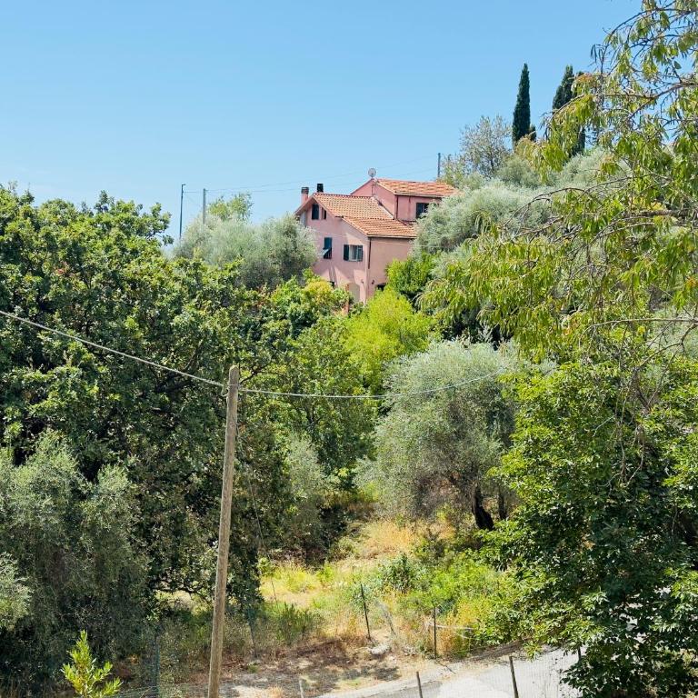 Casa Romita - Appartamento con 1 Camera da Letto e con Giardino - 31