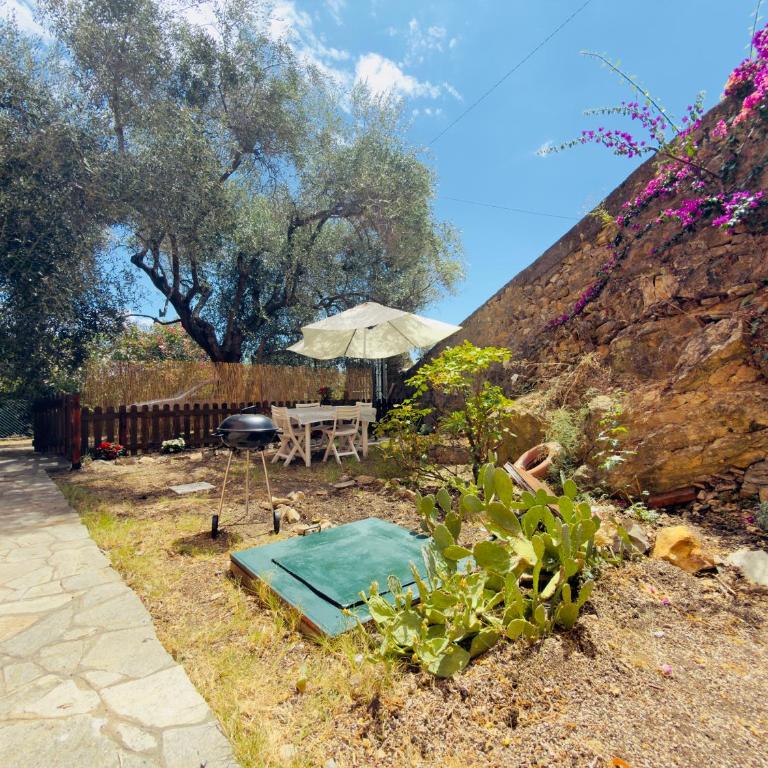Casa Romita - Appartamento con 1 Camera da Letto e con Giardino - 30