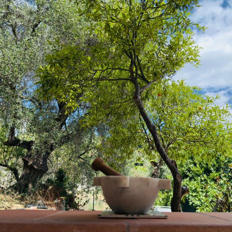 Casa Romita - Appartamento con 1 Camera da Letto e con Giardino - 5