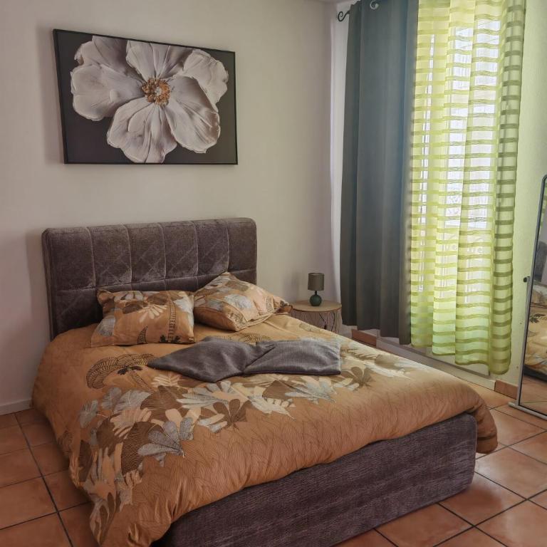 Studio 35m2 centre ville Béziers - Apartment mit 1 Schlafzimmer - 1