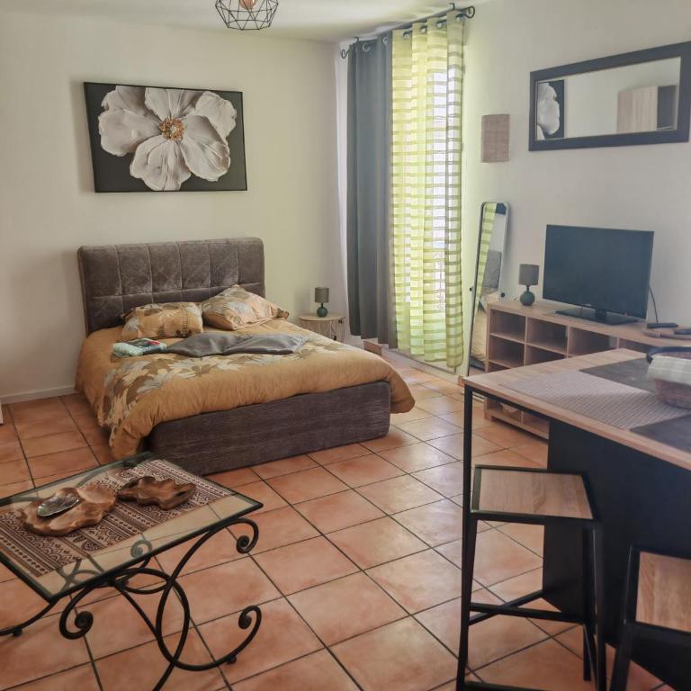 Studio 35m2 centre ville Béziers - Apartment mit 1 Schlafzimmer - 4