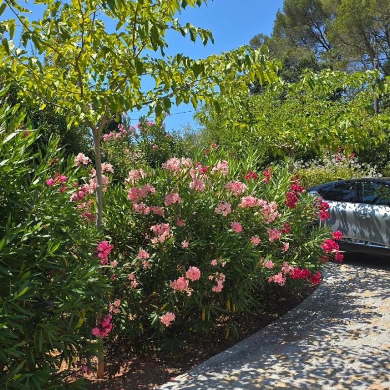 Haut de Villa VERDUREVE location de vacances - One-Bedroom House - 8
