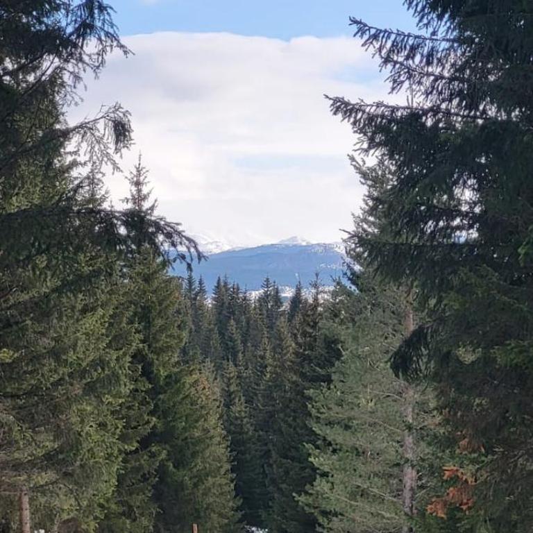 Villa Ruže - Vila - 35