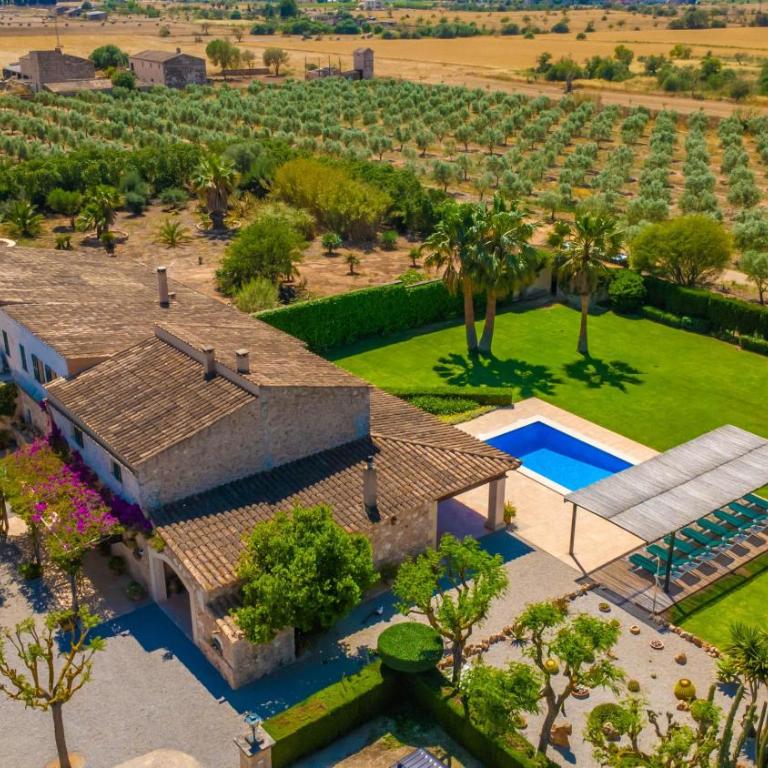 Son Vanrell -Campos- - Villa - 50