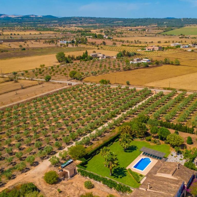 Son Vanrell -Campos- - Villa - 62