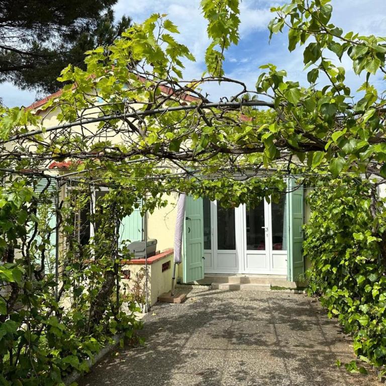Pretty harbour house with garden - Maison de Vacances - 16