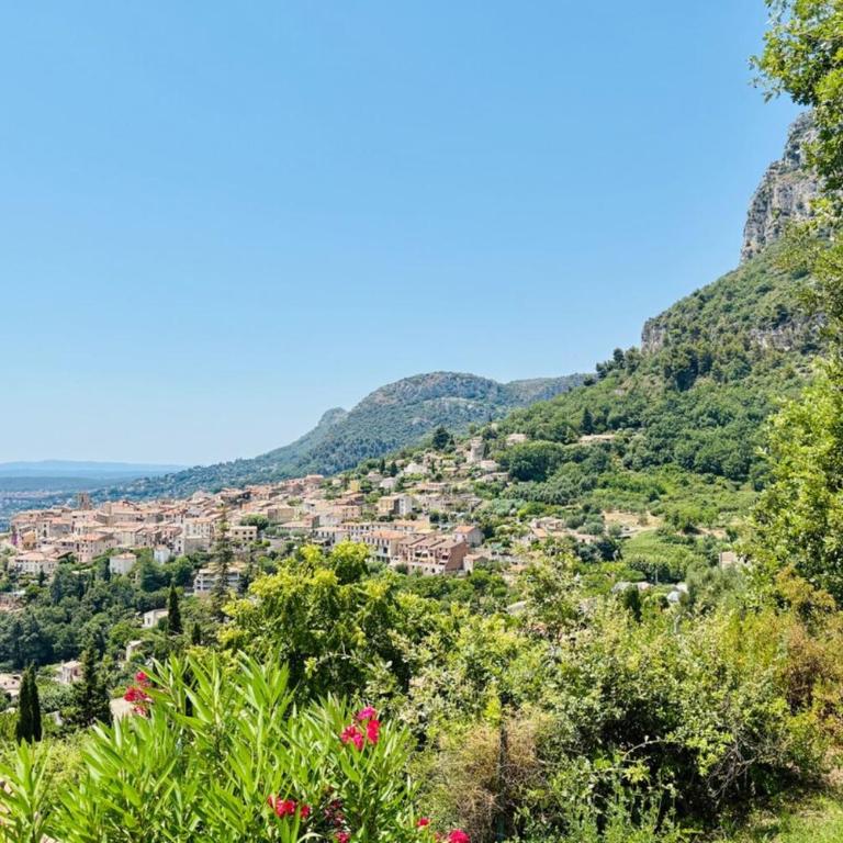Villa Panorama Saint-Jeannet Swimming pool Sea and mountain views - Villa - 48