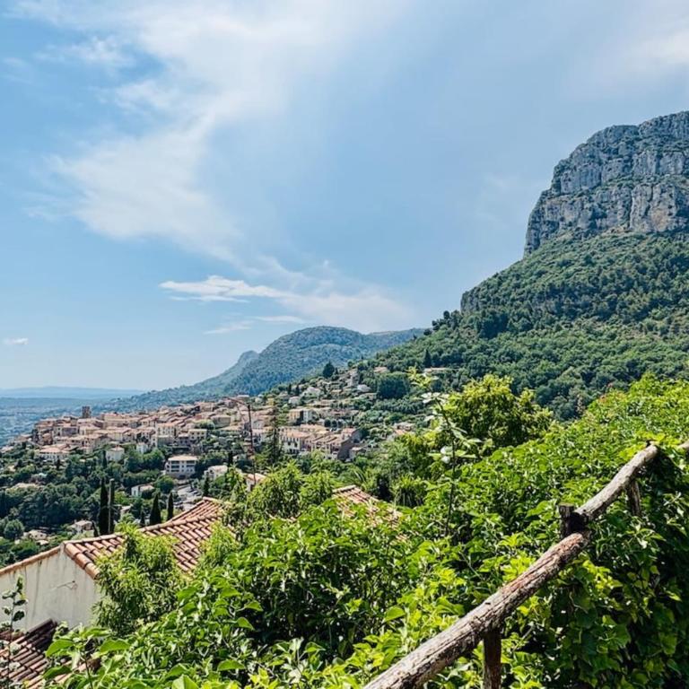 Villa Panorama Saint-Jeannet Swimming pool Sea and mountain views - Villa - 50