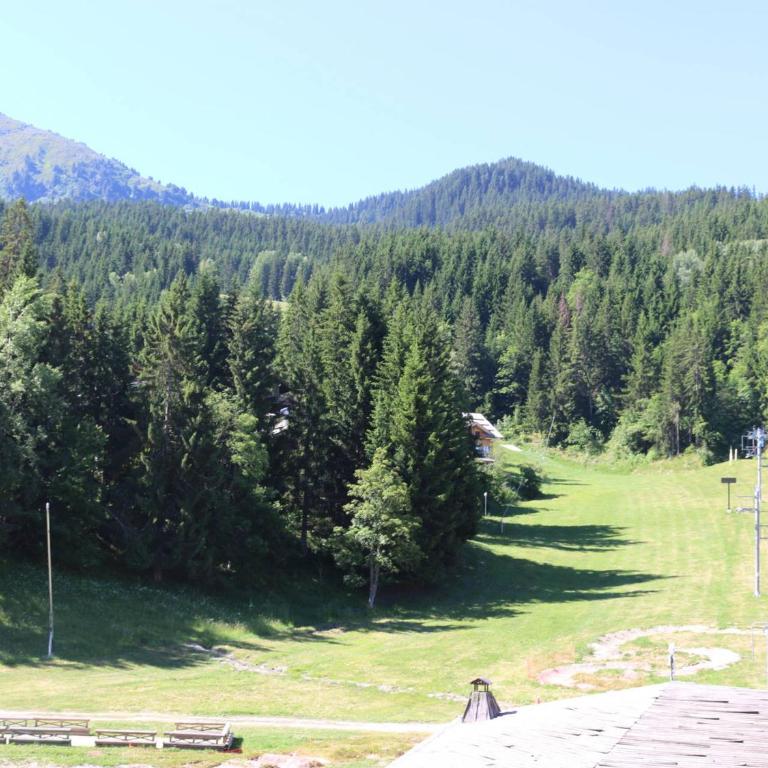 T3 au cœur de la station face aux pistes, 7 pers., lumineux - Appartement 2 Chambres - 18