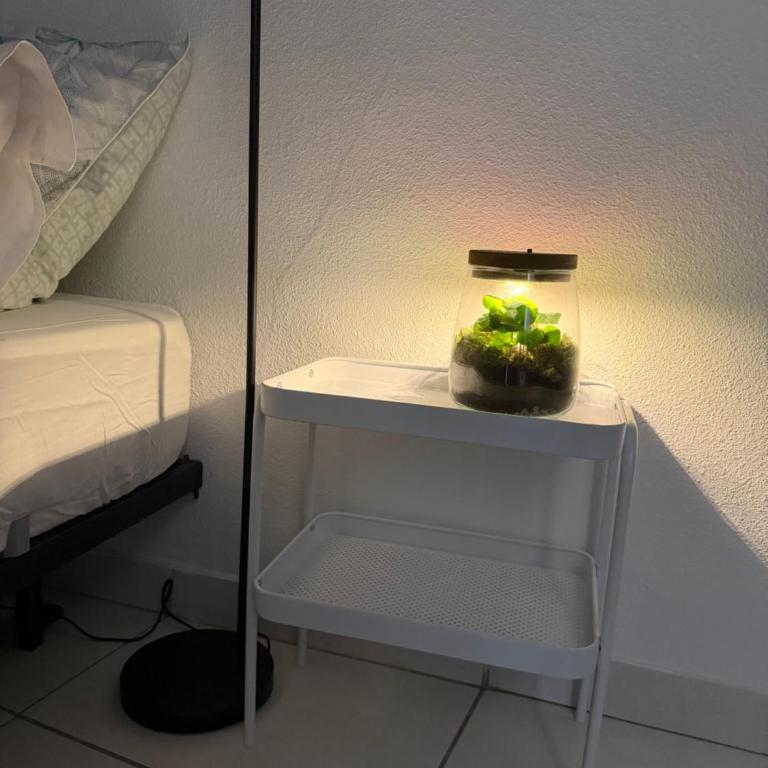 Loft lumineux - Apartment mit 2 Schlafzimmern - 9