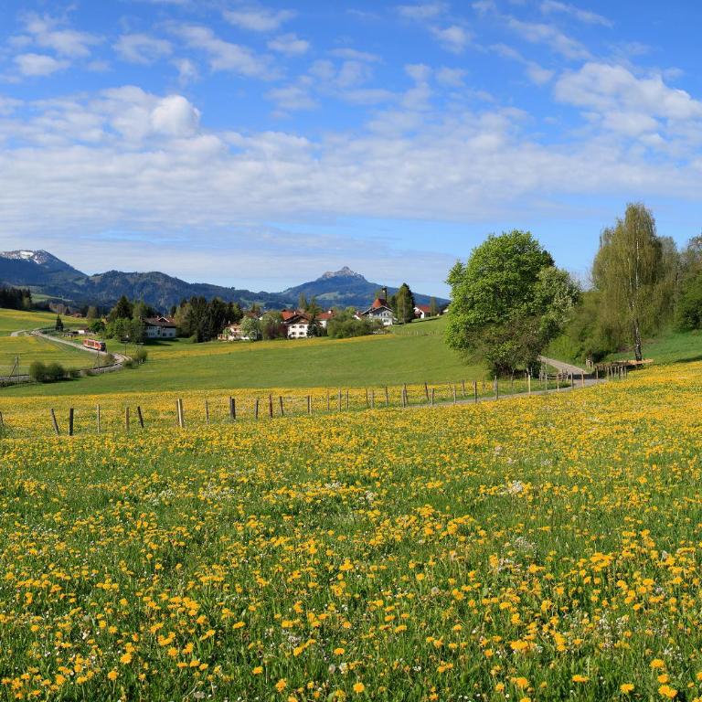 Ferienwohnung Bergnah Oy Mittelberg - Apartment mit 1 Schlafzimmer - 19