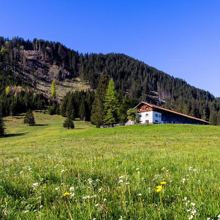 Ferienwohnung Bergnah Oy Mittelberg - Apartment mit 1 Schlafzimmer - 14