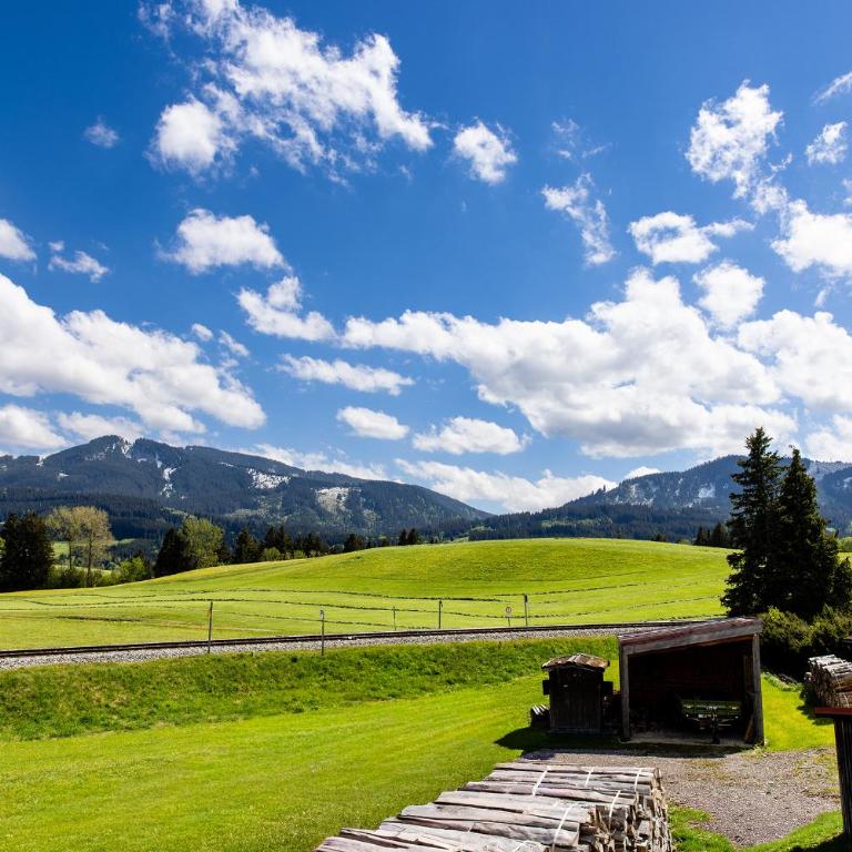 Ferienwohnung Bergnah Oy Mittelberg - Apartment mit 1 Schlafzimmer - 20
