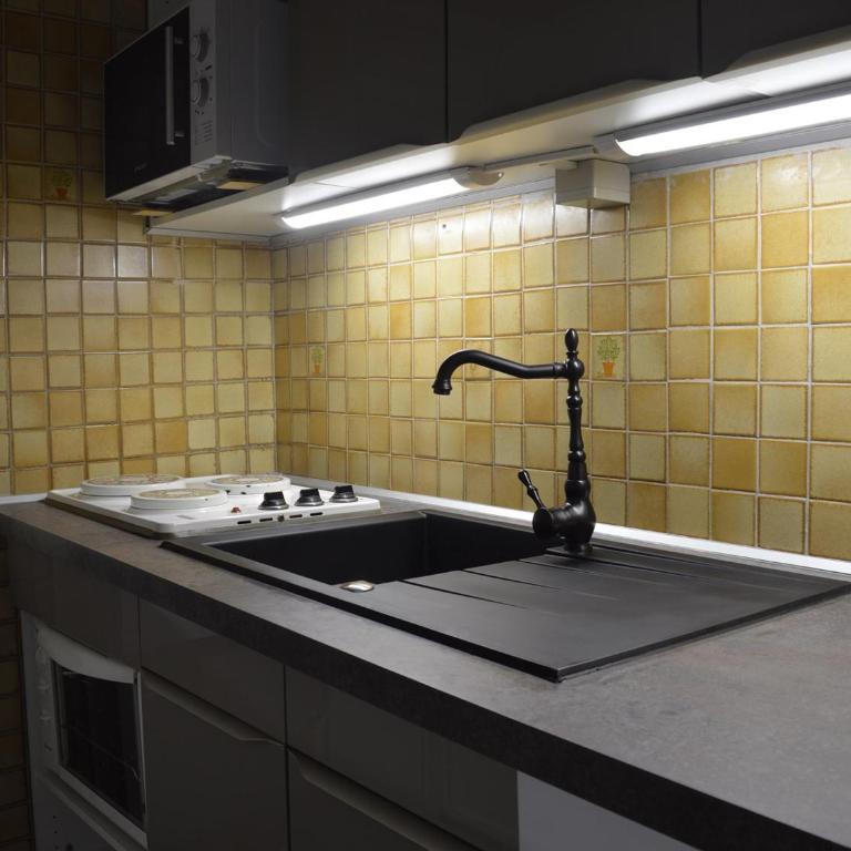 Studio 4 pers. à Port Camargue avec terrasse - FR-1-250-149 - Apartamento - 12