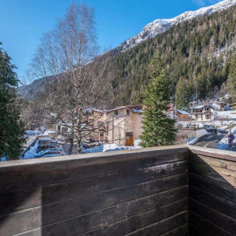 Beautiful Apt near the Grands Montets slopes - Apartment - 12