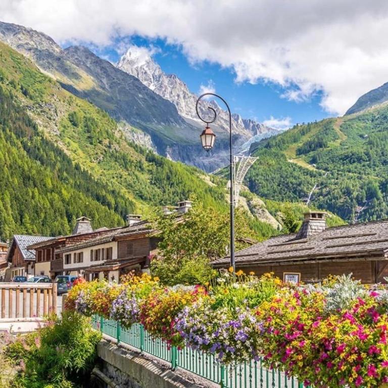 Beautiful Apt near the Grands Montets slopes - Apartment - 16