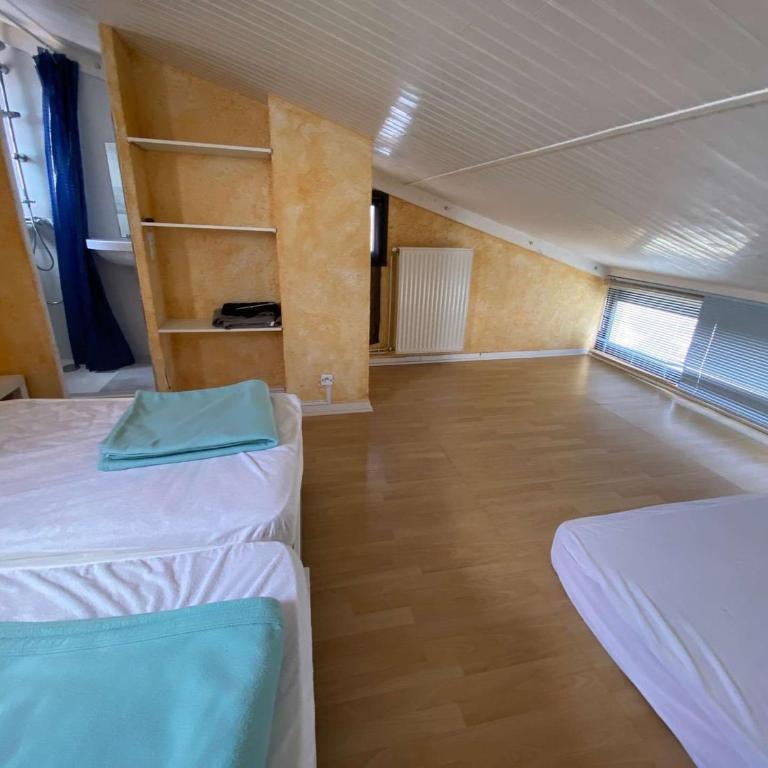 Villa avec animaux et parking, vue lac - 6 pers. - FR-1-81-785 - Villa - 10