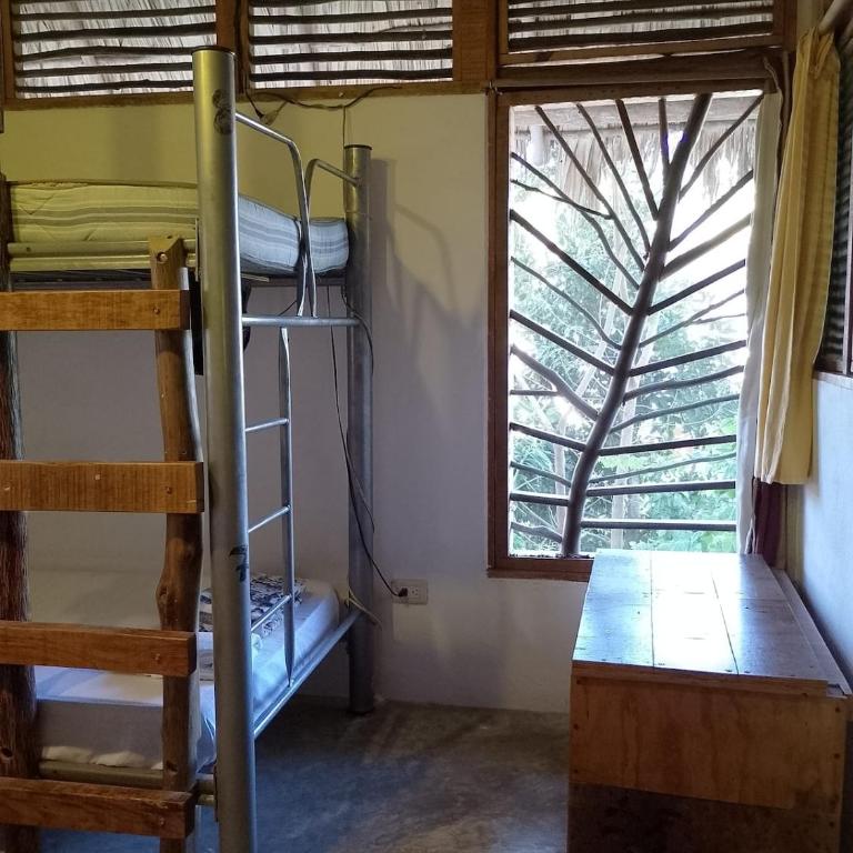 Guarumbo - Cama individual en habitación compartida - 4 camas - 3