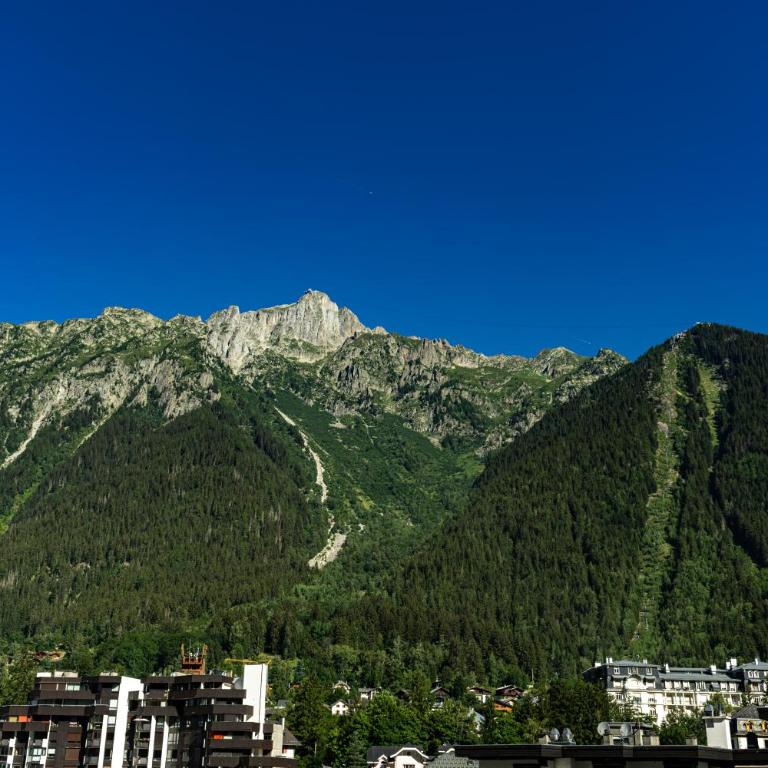 Hotel Le Morgane - Superior Room with Balcony and Brevent View - 2
