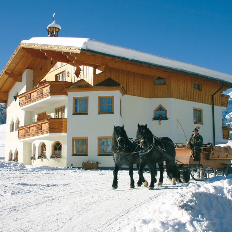 Berghotel Lämmerhof - Studio-Apartment mit Balkon - 1