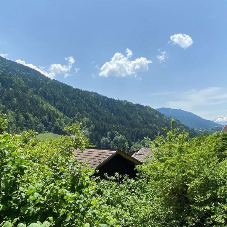 Studio vue montagne - 4 pers. - Appartement 1 Chambre - 13