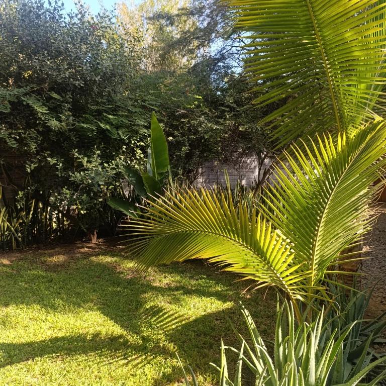 Guayobungalows - Twin Room - 6