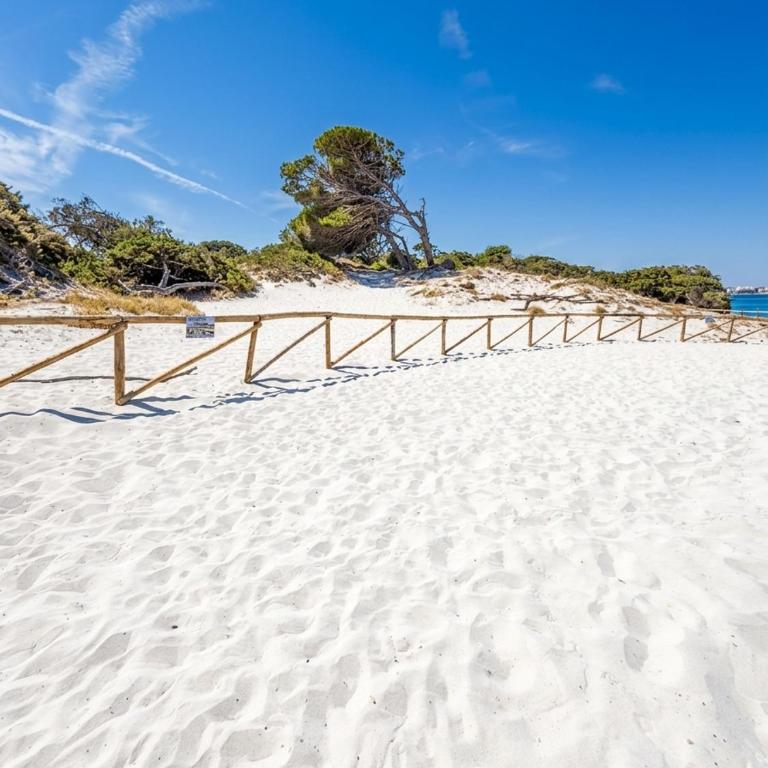 Casa Santa Barbara Alghero - Appartamento con 1 Camera da Letto - 19