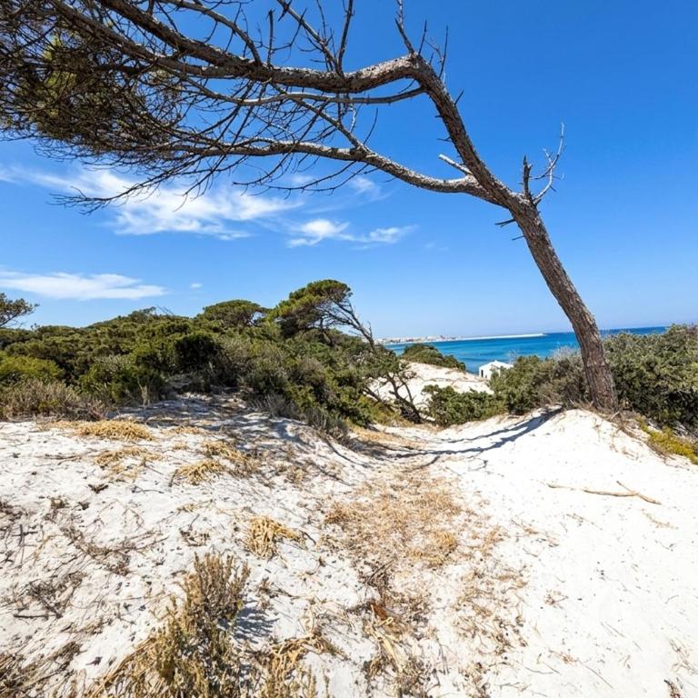 Casa Santa Barbara Alghero - Appartamento con 1 Camera da Letto - 20