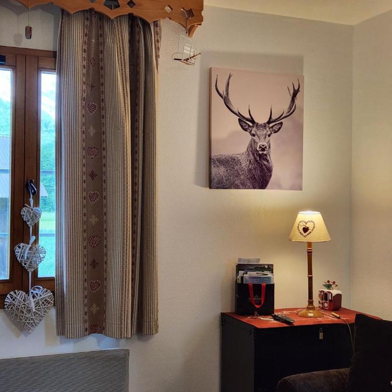 Appartement 2 pièces avec balcon à Samoëns, parking inclus - FR-1-629-121 - Appartamento - 32