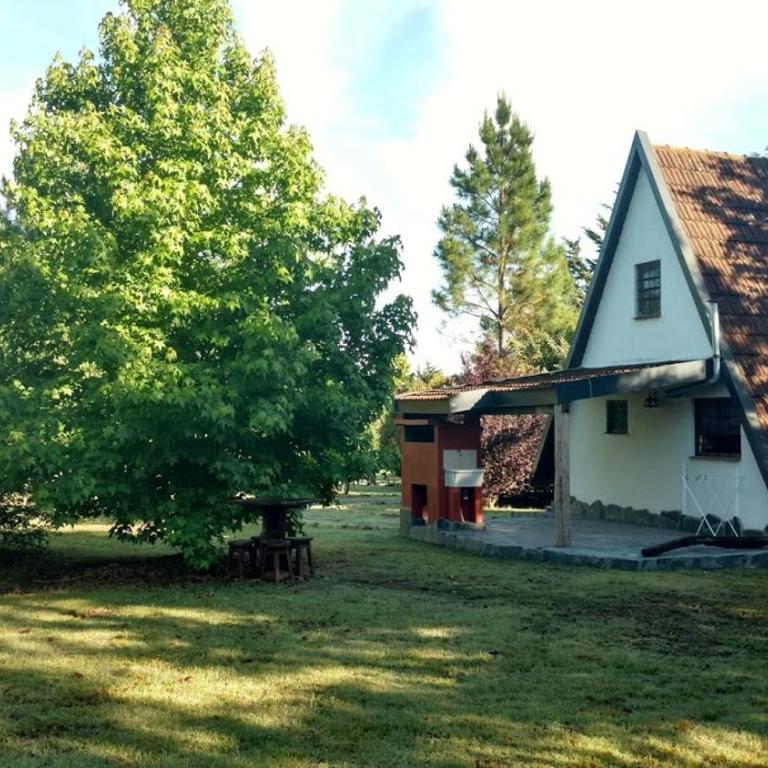 Buenavista Cabañas - Two-Bedroom Bungalow - 33