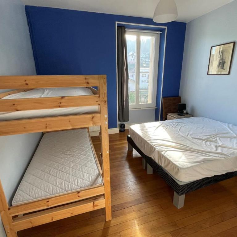 Bright nest with mountain view in Gérardmer - Appartement - 15