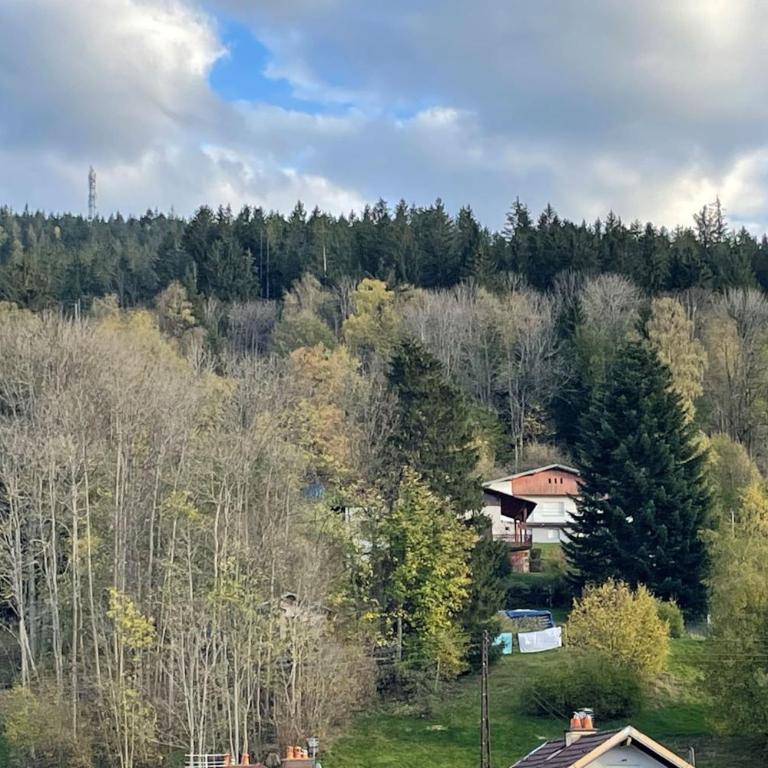 Bright nest with mountain view in Gérardmer - Appartement - 23