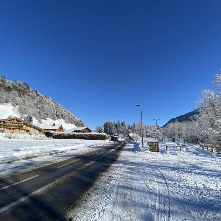 Studio cabine, animaux acceptés - 4 pers., vue sur pistes - Appartement 1 Chambre - 17