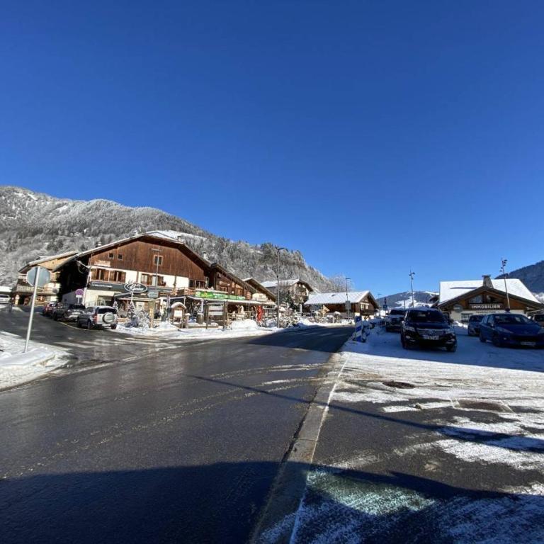 Studio cabine, animaux acceptés - 4 pers., vue sur pistes - Appartement 1 Chambre - 18