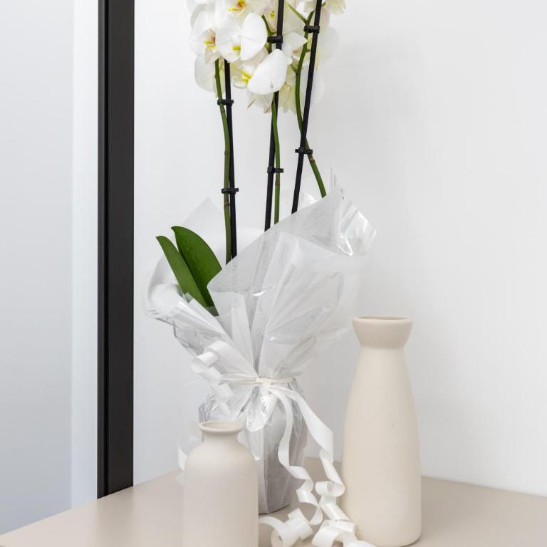 AT 203 - NEW and spacious designer apartment near the Vatican - Appartamento con 2 Camere da Letto - 36
