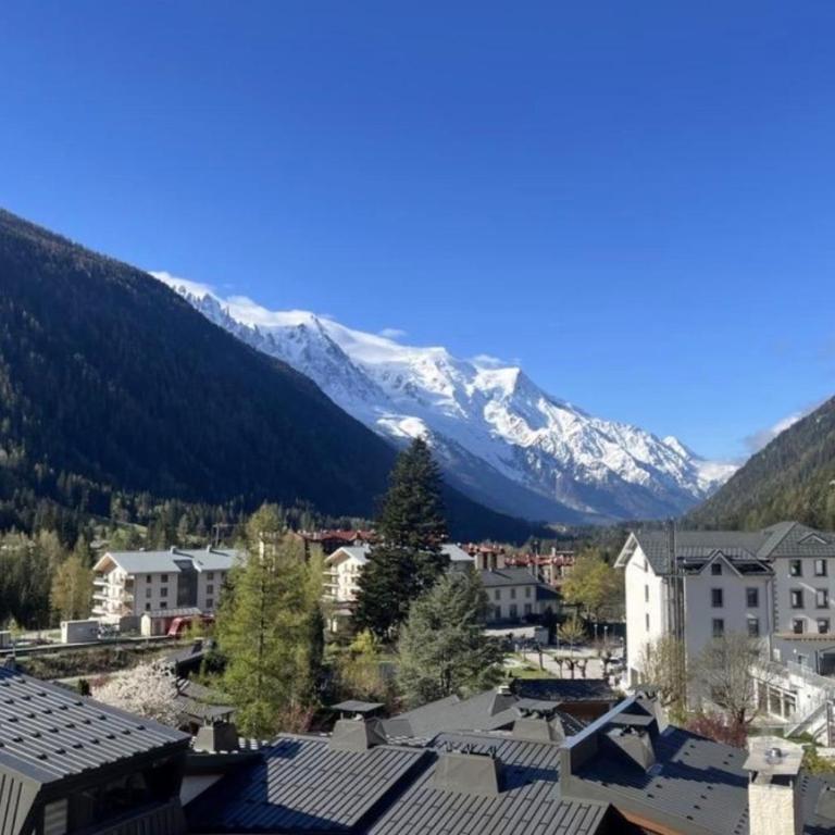 A stunning duplex flat near the Grands Montets - Apartment - 2