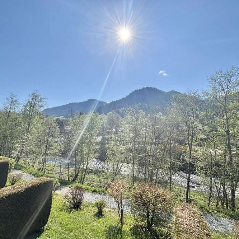 Appartement cosy proche centre - 5 pers. - Appartement 1 Chambre - 19