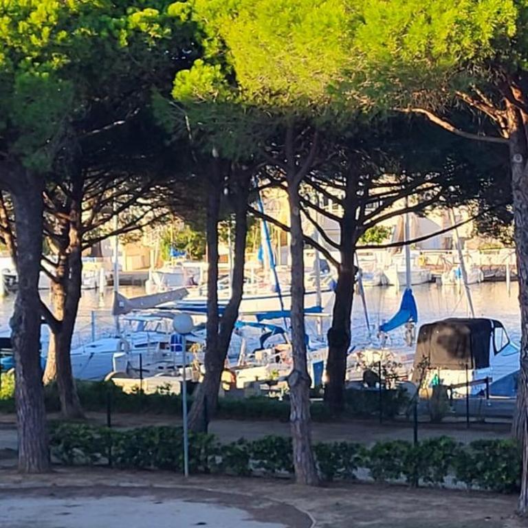 La Croisière Nice view renovated studio air-conditioned parking balco - Appartamento - 24